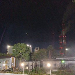 ����, �����������, 36 ���