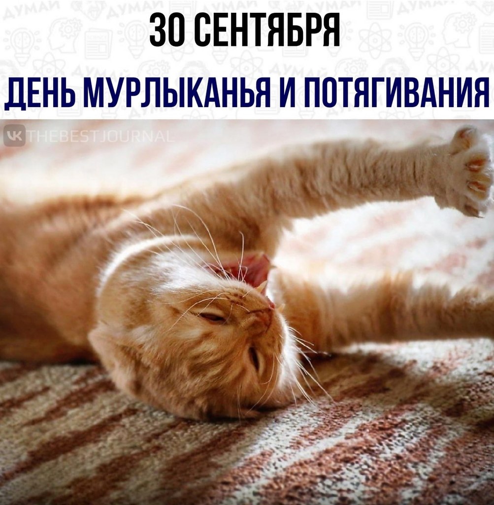 ,      . ,    ,  ,      ...