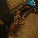 ���� �������, ������, 48 ��� - ��������� 20 ��� 2023 � ������ ���� ����������