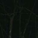 ���� ������, ������, 46 ��� - ��������� 2 ����� 2023