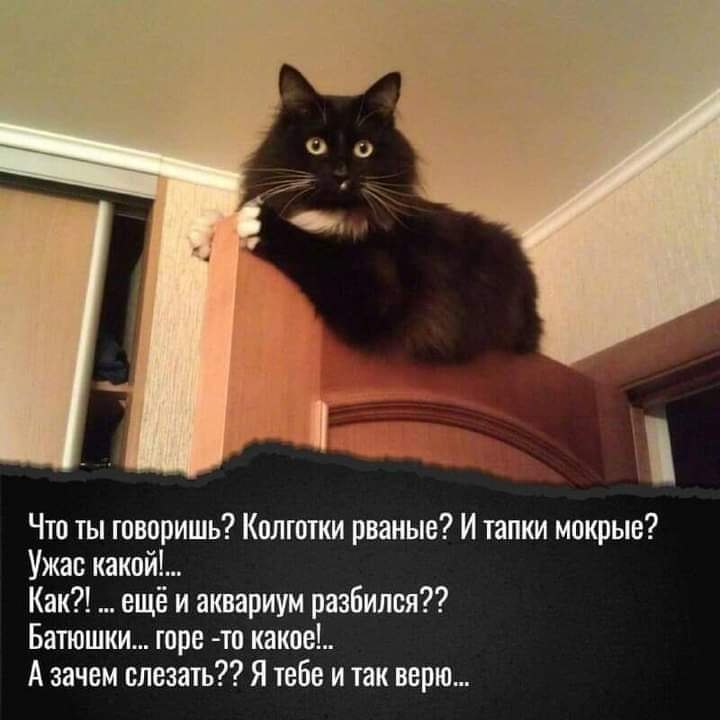   - 28  2023  17:56