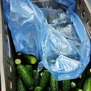 ���� �����, ������, 26 ��� - ��������� 4 ������� 2023 � ������ ���� ����������