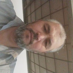 �����, ������, 44 ����