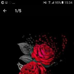 Ruby Scarlet, ����, 24 ����