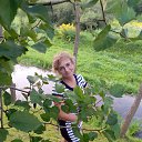 ���� ������, ������, 51 ��� - ��������� 24 �������� 2023