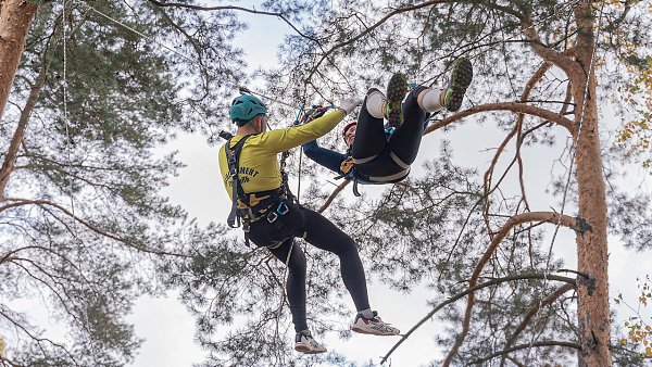 ����� 250 ���������� �� 19 ������ �� ���� ������ ������� ������� � ���������� �� ... - 4