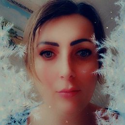 �����, ������, 41 ���