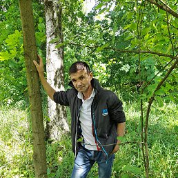 �������, ������, 46 ���