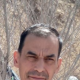 ���� ��������, �����������, 37 ��� - ��������� 18 ������� 2023