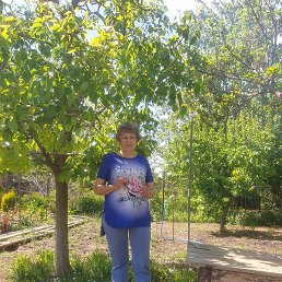 �������, ����������, 73 ����