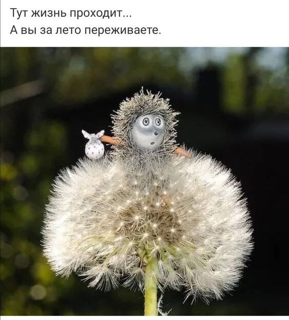   - 14  2023  14:23