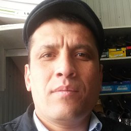 �����, �������, 44 ����