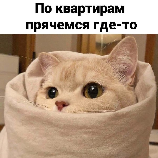   - 4