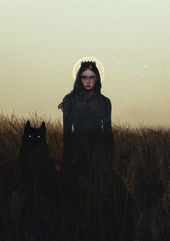  -  ,         . #@magic_occult