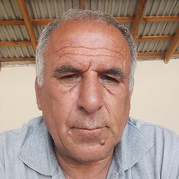 ������� �����������, ������, 66 ���