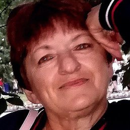 �����, �����, 66 ���