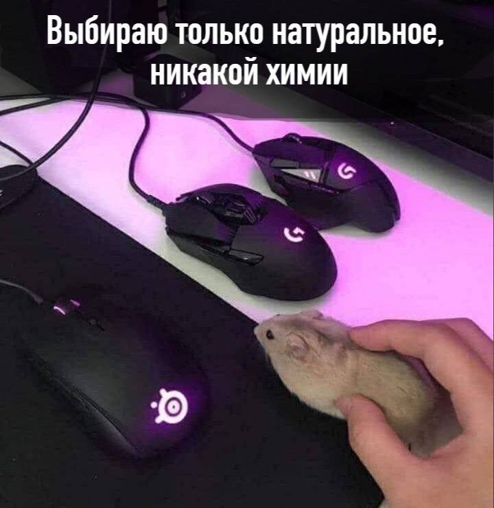    - 20  2023  08:13