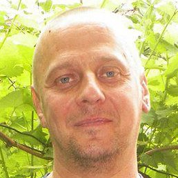 ������, ������, 44 ����