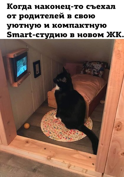 ***Victoria Viktorovna*** - 24  2023  05:21