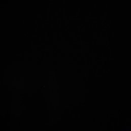 Shohruxxon, �����, 31 ���