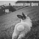 ���� Wulf, �������, 38 ��� - ��������� 20 ��� 2023