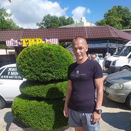 ���� ��������, ���������, 41 ��� - ��������� 11 ����� 2023