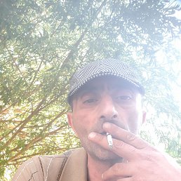 ������, ���������, 51 ���