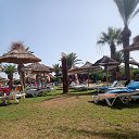 ���� �����, �������� - ��������� 23 ���� 2023 � ������ ���� ����������