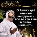 ���� ����, �����, 58 ��� - ��������� 22 ���� 2023 � ������ ���� ����������