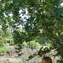 ���� ��������, ����, 54 ���� - ��������� 27 ��� 2023 � ������ ���� ����������