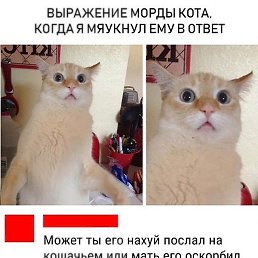 , , 38 