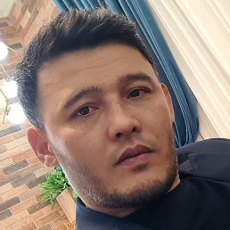 ������, �������, 37 ���