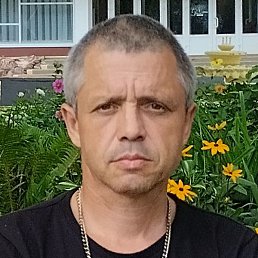 ����������, �����, 51 ���