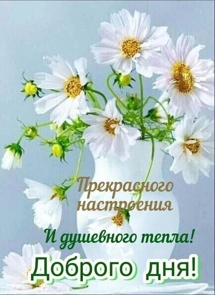   ,    . - 23  2023  13:53