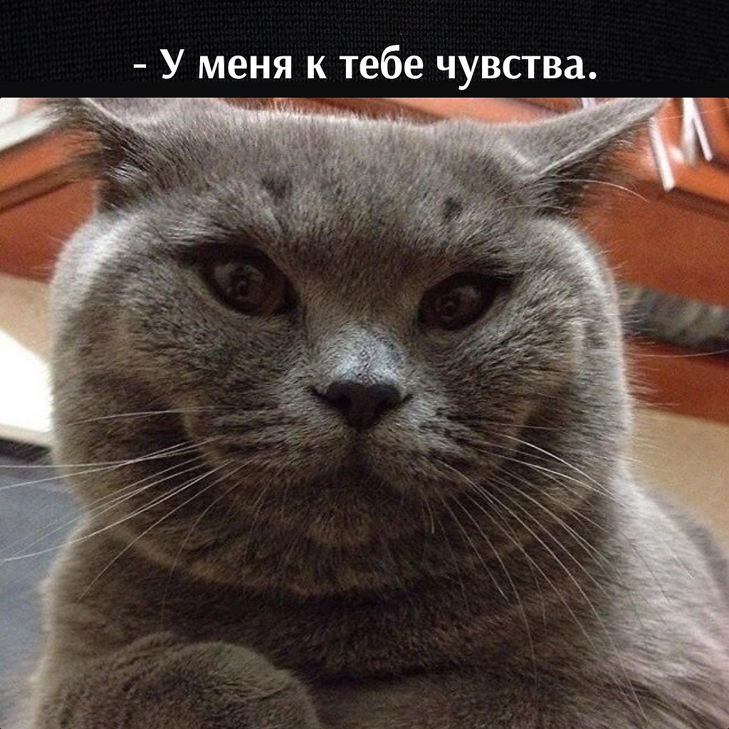       - 11  2023  17:04