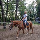 ���� ������, ���������������, 37 ��� - ��������� 3 ����� 2023 � ������ ���� ����������