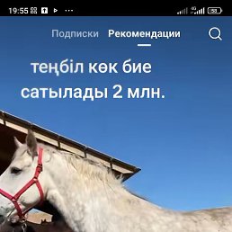 �������, ������, 37 ���