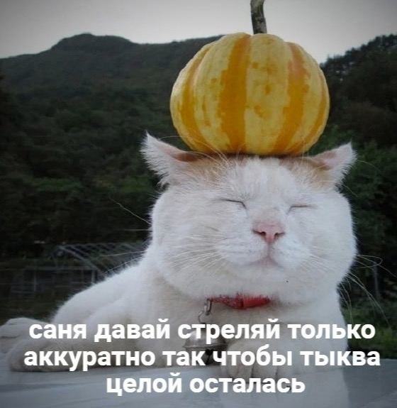   - 4  2023  08:28