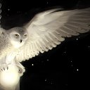 ���� God Of Death (������ �����), ������������, 33 ���� - ��������� 12 ����� 2023 � ������ ���� ����������