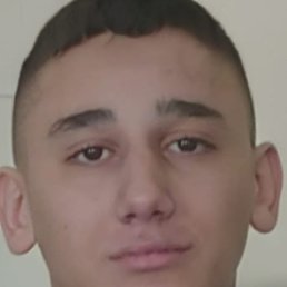 �����, �����-���������, 82 ����