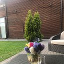 ���� ������, ������, 57 ��� - ��������� 12 ��� 2023 � ������ ���� ����������