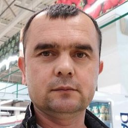 ��������, ������, 46 ���