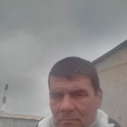 ���� �����, ���������, 56 ��� - ��������� 4 ���� 2023