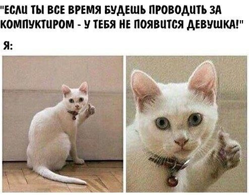    - 28  2023  23:13