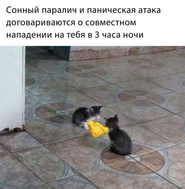    - 7  2023  13:25