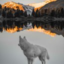 ���� Avag, ������, 39 ��� - ��������� 2 ������� 2023 � ������ ���� ����������