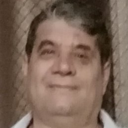 �������, ������, 37 ���