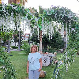 �����, �����������, 62 ����