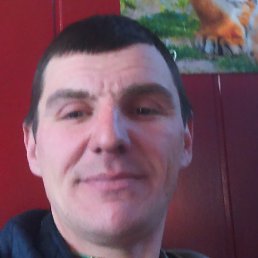 ������, �����������, 41 ���