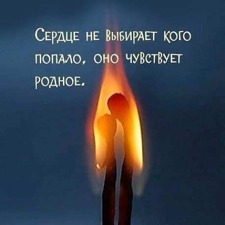    - 13  2023  18:57